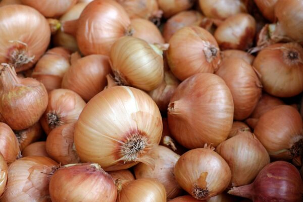Onion (Small) - Pyaz